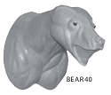 BEAR40